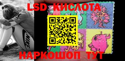 индика Новозыбков
