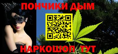 индика Новозыбков