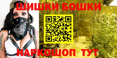 индика Новозыбков