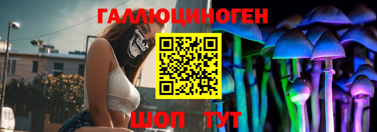 Пугачёв  Псилоцибиновые грибы Magic Shrooms  Вход с VPN 