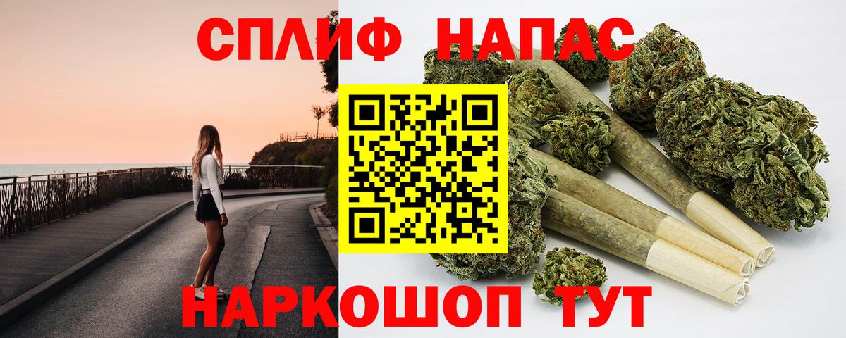 Бошки Шишки планчик  Вход с VPN  Пугачёв  Конопля ГИДРОПОН 